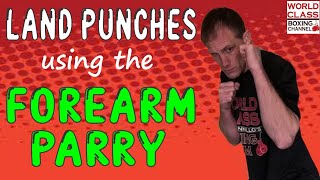 How To Land a Punch to the Body Using the Forearm Parry