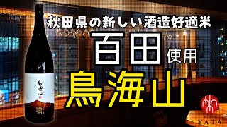 新しい酒米『百田』使用🌾【鳥海山】@masamoriyamamoto