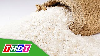 Gạo thơm Việt nam được ưa chuộng trên thế giới | THDT