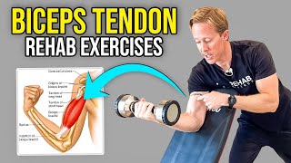 2 Biceps Tendonitis Exercises