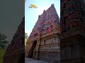 Vaitheeswaran Koil Gopuram |  Tamil Treky #tamiltreky #shorts