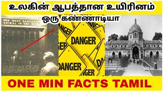 உலகத்தில் மிகவும் ஆபத்தான உயிரினும் கண்ணாடியா😲  One Min Facts Tamil