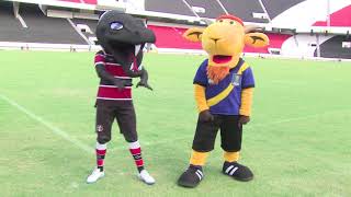 Copa do Nordeste: Zeca Brito visita mascotes de Náutico, Santa Cruz e Sport