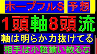 2024年 ホープフルステークス 予想【1強です/ホープフルS】