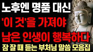 중장년층 90% 이상이 모르고 있는 나이 들수록 반드시 알아야 할 '이 것' I 인생을 바꾸는 습관 | 자면서 듣는 부처님 말씀 4시간 | 석가모니 I 처세술 I 오디오북ㅣ철학