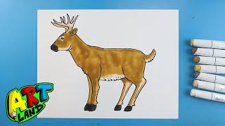 How to Draw a BUCK
