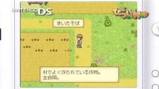 NDS『箱庭生活　ひつじ村DS　ぐっどぷらいす』