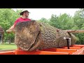 I Made a HUGE Rookie Mistake Milling this Sweet Gum Log!