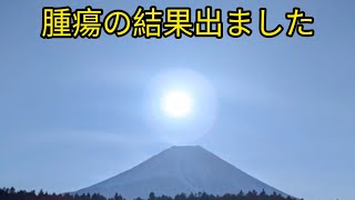 【犬と朝霧高原】富士山満喫しました!