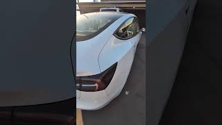 2023 Tesla Model 3 exterior 10K mi