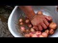 life with nature video 157 planting herb plant rural nepal