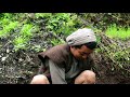 life with nature video 157 planting herb plant rural nepal