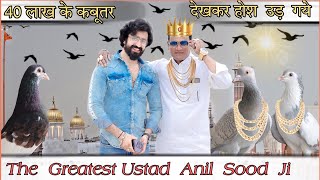 😍40 Lakh Ke kabutar❤️👑शहंशाही शौक़ Greatest Ustad Anil Sood ji ka👑 #delhikabutarbaazi