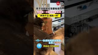 男子因锻炼经常要贴膏药 ，狗狗每一次都帮忙撕膏药 ，“养狗千日 用狗一时”