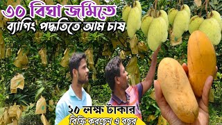 থাই কাটিমন আম চাষ করে কেন বানিজ্যিক ভাবে সফল হচ্ছে না কৃষক রুহুল ভাই এর গল্প ৩০ বিভা আম বাগান