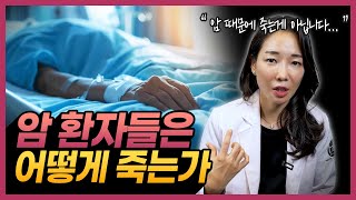 암환자들은 암으로 죽지 않는다?! | 임종 직전 나타나는 암 환자들의 특징