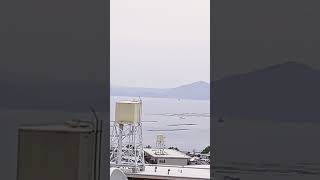 高速遊覧船 牡蠣いかだを縫って 広島から右端宮島へ11:00am 瀬戸内