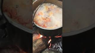 Yummy Cook Shrimp Hipong Gubat Bisi Vlog