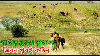 গ্রমীন পরিবেশে লাঠি হাতে রাখাল।সবুজ স্যামল ঘেরা বাংলাদেশ#The Natural Country