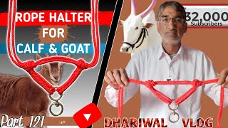 Rope halter for calf, goat,cow, buffalos // गाय, भैंस, बछड़े, कटड़े, बकरी की मोहरी \