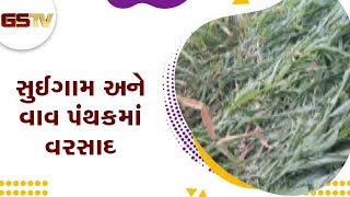 Banaskantha : સુઈગામ અને વાવ પંથકમાં વરસાદ | Gstv Gujarati News