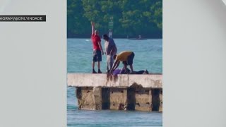 Caught on camera: Dog rescued after falling into Haulover Inlet