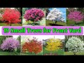 19 Best Small Trees for Front Yard | Small Colourful Trees | Colourful Trees | Plant and Planting