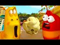 LARVA | POPCORN | Cartoons Von Children | LARVA Full Episodes