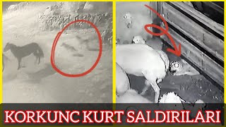 EN TRAJİK 7 KURT SALDIRISI