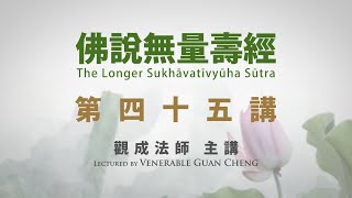 [Mandarin] 繁簡字幕 國語普通話 - 佛說無量壽經 - 第四十五講 - 觀成法師主講