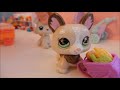 littlest pet shop krÁdeŽ v supermarketu speciÁl za 4000 subs