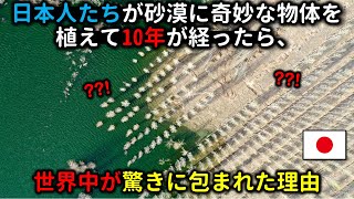 日本人たちが砂漠に奇妙な物体を植えて10年が経ったら、世界中が驚きに包まれた理由