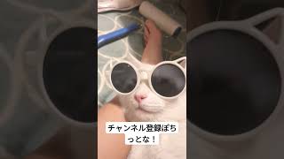 最後の顔笑笑