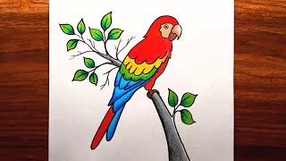 Parrot Drawing Step by Step || How to Draw Parrot || Parrot Drawing Colour.