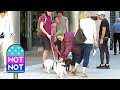 Lady Gaga Stops to Pet a Dog in Vancouver, Canada