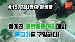 청계천 애완동물 거리에서 물고기 구입!