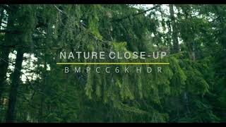 【4K HDR】Nature Cinematic Close-up | BMPCC6K