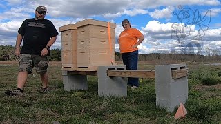 Bee Hive Stand Test - FAIL