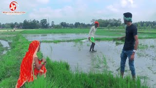 धान के खेत में पहुंचकर चिरकुट बाबा अपने बेटा और पतोहिया से करने लगे झगड़ा