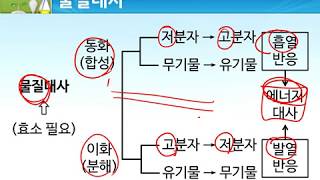 [짧강] 생명과학Ⅰ - 생명 현상의 특성(1)