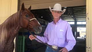 Champion Talks with Ricky Piggott: 2020 NRCHA Snaffle Bit Futurity Level 1 Limited Open