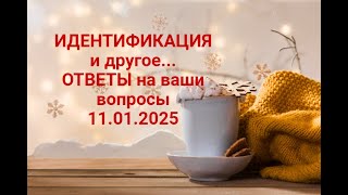 ИДЕНТИФИКАЦИЯ и другое...ОТВЕТЫ НА ВАШИ ВОПРОСЫ 11.01.2025.