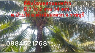 ขาย📍ที่ดินโฉนดพร้อมสวนมะพร้าว🌴มี 7 ไร่ 2 งาน 14ตรวจ. ขายไร่ละ 800,000 บาท จ.ราชบุรี⛺️🏠🌴🌴