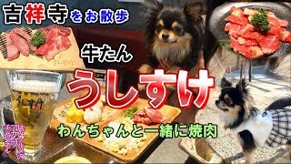 わんちゃんと一緒に焼肉！【牛たん うしすけ】井の頭公園をお散歩ー旅とグルメのアカムツチャンネル