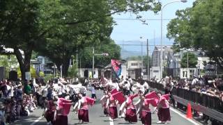 2016 5 21 豊川おいでん祭 ケヤキ会場 常笑