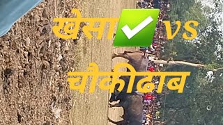 vrindavan,Tinpahar (वृंदावन) kada ropok ....खेसा ✅️ vs चौकीढाब ...  15/12/24