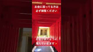 ✨お金に困ってる方は必ず御覧ください✨お金が咲くように増えると言われる金運上昇パワースポット【金咲稲荷神社遠隔参拝】※本編公開中 #金運上昇 #運気上昇 #パワースポット #遠隔参拝 #スピリチュアル