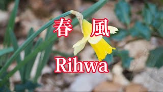 春風/ Rihwa     エアロフォン