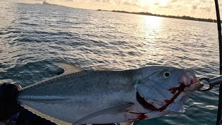 Nice Inshore Kayak Trip gone right with surprise catch on lure.. Fishing beach Mauritius 2023