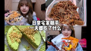 Vlog丨一只澜糯叽叽除了大没别的毛病丨平野村抹茶蛋糕就还行丨脆猪肉脯好好吃